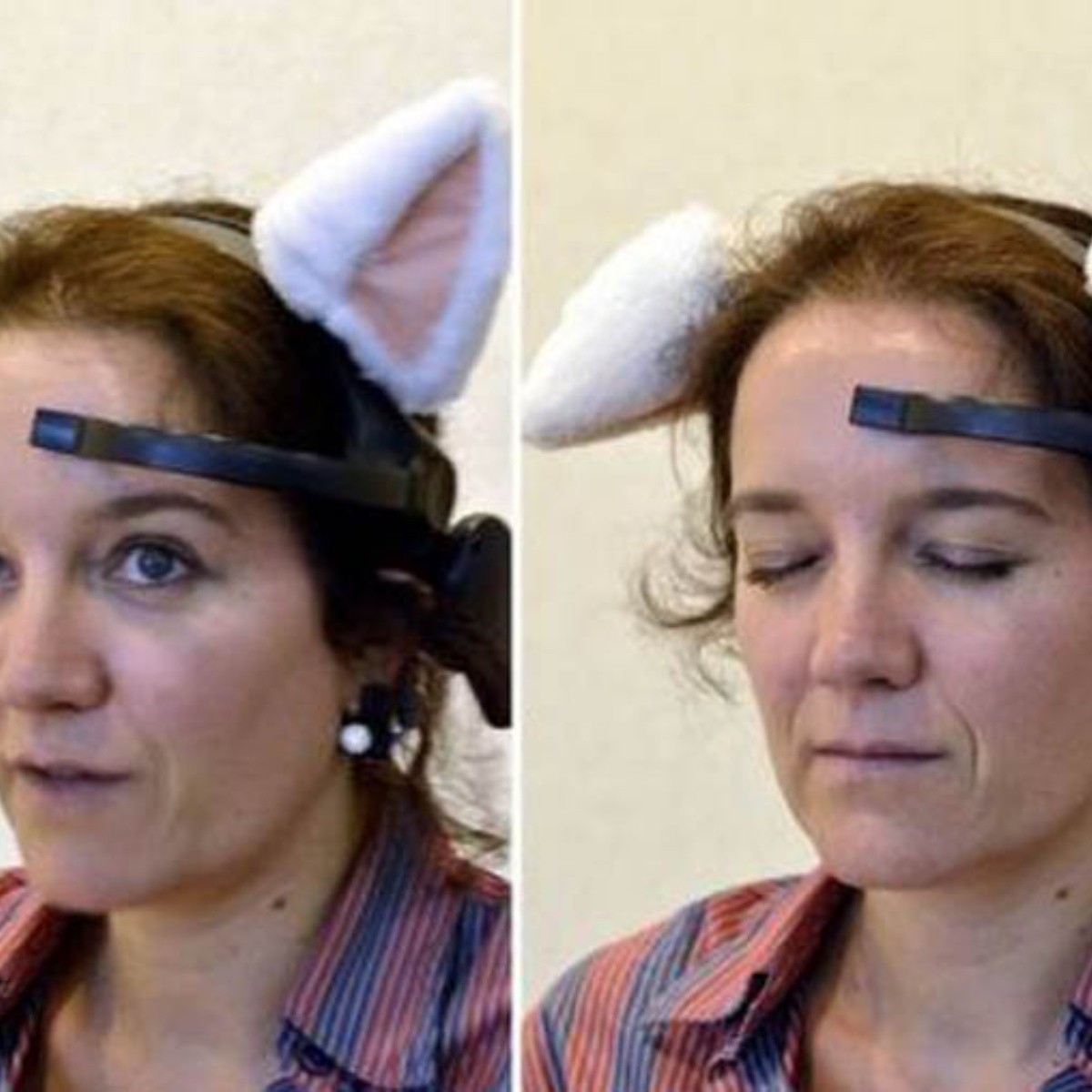 Inventan orejas de gato para humanos responden a ondas cerebrales | El Informador