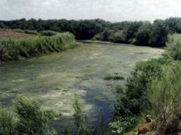 Los migrantes cruzan el río Bravo a nado o en lanchas para internarse ilegalmente en EU. ARCHIVO  /