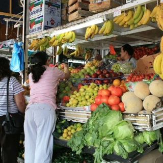 La recuperación del poder adquisitivo ha sido marginal, sostiene IP