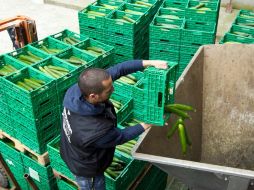 'Sólo el presupuesto europeo debe indemnizar a los agricultores que ahora no pueden vender sus producciones de hortalizas'. ARCHIVO  /