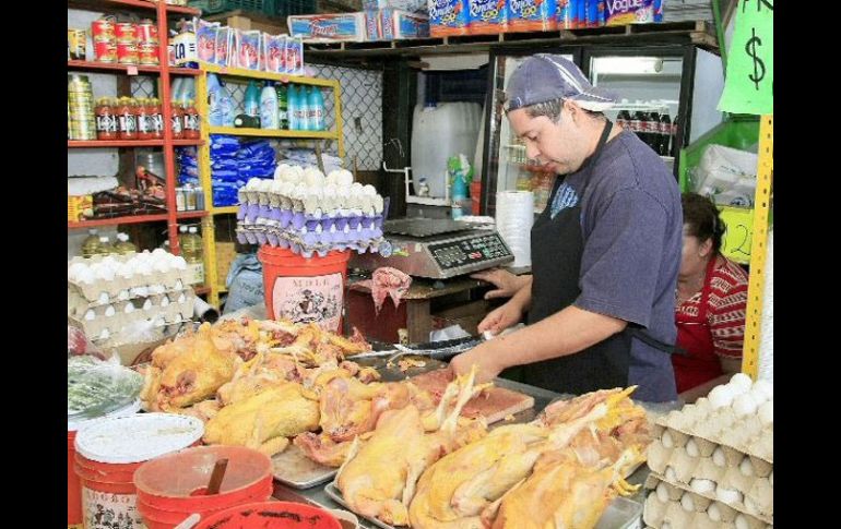 Avicultores dicen que la clave del crecimiento de los pollos obedece a la selección genética y las fórmulas nutricionales. ARCHIVO  /