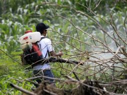 El director de Salud Pública resaltó que es época es de prevención. ARCHIVO  /