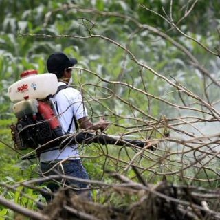 Salud Jalisco recuerda comienzo de etapa difícil para dengue