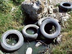 El agua estancada es un lugar propicio para la reproducción del mosco transmisor del dengue.  A. GARCÍA  /