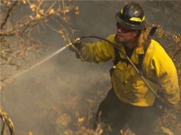 Las labores de extinción del incendio forestal trabajaron cuadrillas de 13 A 15 personas por día hasta controlar el fuego. REUTERS  /