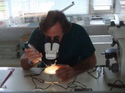 La ciencia médica generó grandes expectativas con el desciframiento del Genoma Humano en 2003. ARCHIVO  /