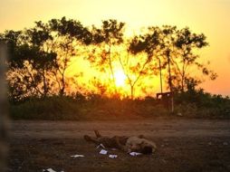 Las imágenes de Brito no se dejan llevar por lo extremo de la escena, ni se recrean en el morbo del cuerpo asesinado. ESPECIAL  /