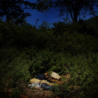 Fernando Brito gana Premio Descubrimientos