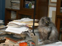 Aspecto del espacio de trabajo del escritor fallecido en 2010. EFE  /