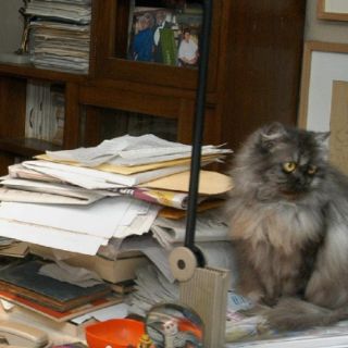 Biblioteca  de Monsiváis será patrimonio de los mexicanos