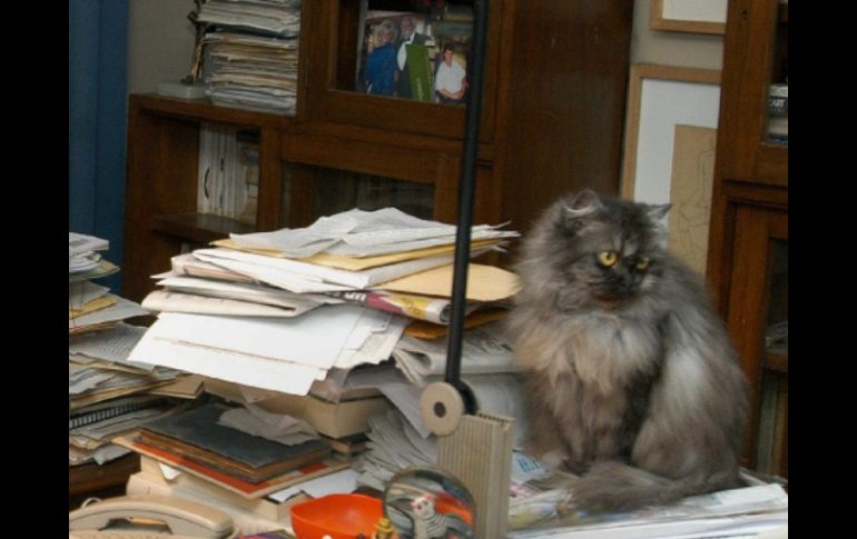 Aspecto del espacio de trabajo del escritor fallecido en 2010. EFE  /