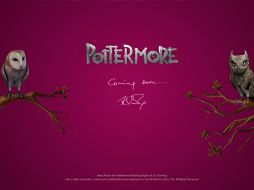 El nuevo proyecto sobre el mago no será un libro. ESPECIAL  /