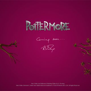 J.K. Rowling anticipa nuevo proyecto sobre Harry Potter