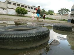 La intervención consistirá en retirar cacharros o contenedores que guardan agua y se repartiran repelentes naturales. ARCHIVO  /