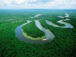 También fueron localizadas plantaciones de maíz, banano y matorrales similares al maní. ESPECIAL  /