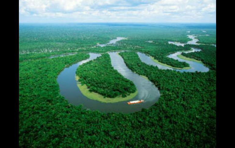 También fueron localizadas plantaciones de maíz, banano y matorrales similares al maní. ESPECIAL  /