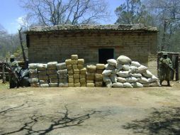 Planean reconocer con la pensión la labor de soldados que colaboren en la lucha contra el narcotráfico. EL UNIVERSAL  /