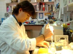 Alemania y Francia gastaron más de la mitad de la ayuda pública dedicada en la UE. ESPECIAL  /