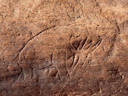 Investigadores del Smithsonian y de la Universidad de Florida verificaron la autenticidad del hueso grabado. AP  /