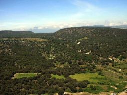 Un Sistema Metropolitano de Áreas Naturales Protegidas podría encargarse de la concreción de un “círculo de calidad ambiental”. ARCHIVO  /