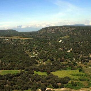 Proponen un organismo intermunicipal para el Bosque La Primavera