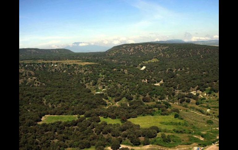 Un Sistema Metropolitano de Áreas Naturales Protegidas podría encargarse de la concreción de un “círculo de calidad ambiental”. ARCHIVO  /