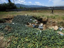Una serie de infecciones del mes pasado mataron a 39 personas y enfermaron a tres mil, la mayoría en Alemania. ARCHIVO  /