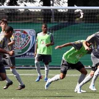 Brasil quiere llevarse el liderato en Grupo F