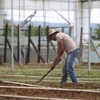 Entregan apoyos a beneficiarios de ‘BienProduzco’