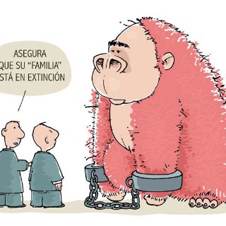 SÍNTESIS SEMANAL: Dan golpe a ''La Familia Michoacana'' con captura de ''El Chango''