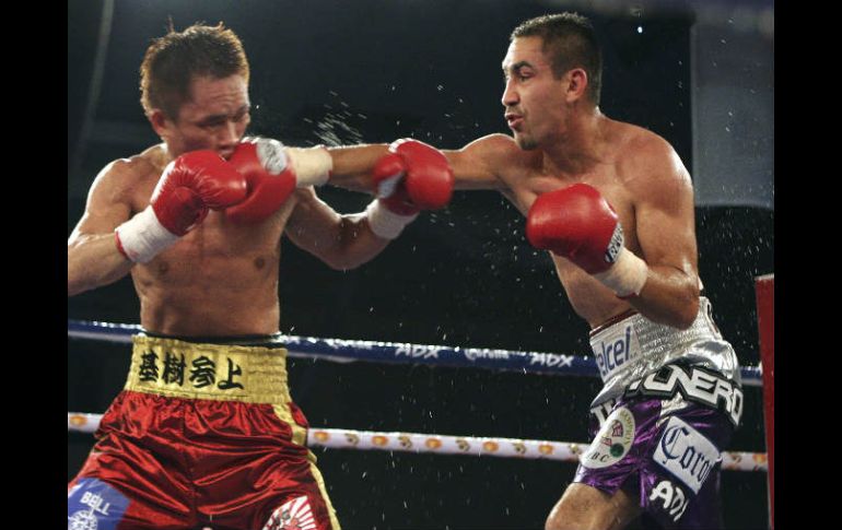 'Zorrita' contra el japonés Motoki Sasaki en Quintana Roo. EFE  /