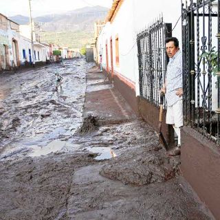 Tala de árboles, causa del deslave en Cerro Viejo