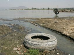 El encuentro se celebra con motivo del 40 aniversario del programa de la UNESCO El hombre y la biosfera. ARCHIVO  /
