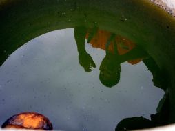 Salud exhorta a la población a realizar labores de descacharrización para evitar criaderos de mosquitos. A. GARCÍA  /