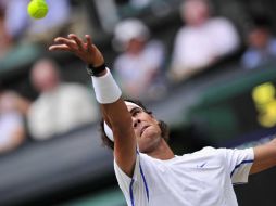 El español en el encuentro con Juan Martín del Potro. AFP  /