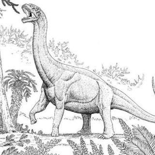 Miden temperatura corporal de los dinosaurios