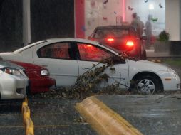 La lluvia derribó árboles y acarreó escombros afectando la vialidad en la ZMG. E. BARRERA  /