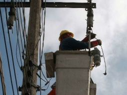 Por la caída de 19 árboles en las líneas eléctricas, se causó el daño a 23 postes que quedaron sin funcionamiento. ARCHIVO  /