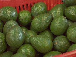 El aguacate ha roto su récord histórico más alto en México, una vez que el de primera calidad se ha puesto a 50 pesos por kilo.ARCHIVO  /