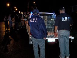 Distintas corporaciones participaron en el aseguramiento de los animales, luego de un operativo. ESPECIAL  /