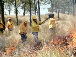 La Seder atendió de forma oportuna los incendios forestales que se presentaron, con personal calificado. ARCHIVO  /