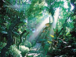 Las serpientes representan a los siete pecados capitales. EL UNIVERSAL  /