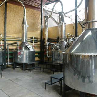 Tequileras accederán a esquemas a favor del ambiente