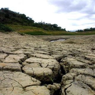 Londres proporcionará alimento a 1.3 millones de etíopes afectados por sequía