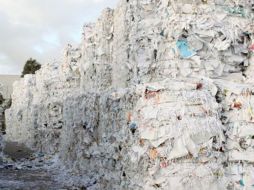 Instalará recipientes para el reciclaje de residuos en todos sus ministerios. ESPECIAL  /