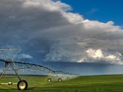 Otra ventaja es que se pueden eliminar contaminantes no biodegradables o tóxicos para los organismos vivos. ID  /