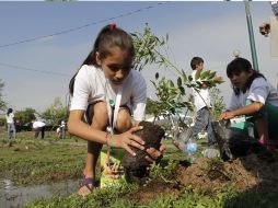 En Jalisco hay un índice de sobrevivencia de 70 por ciento de las plantaciones. S. NUÑEZ  /