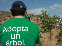 Se verán beneficiadas 295 hectáreas de varias regiones del territorio jalisciense. ARCHIVO  /