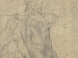 La lámina muestra un torso masculino. EFE  /