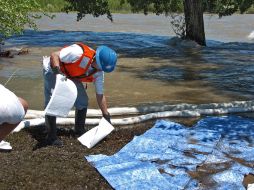 Probablemente tomará meses, incluso años, que el ecosistema se recupere. ARCHIVO  /